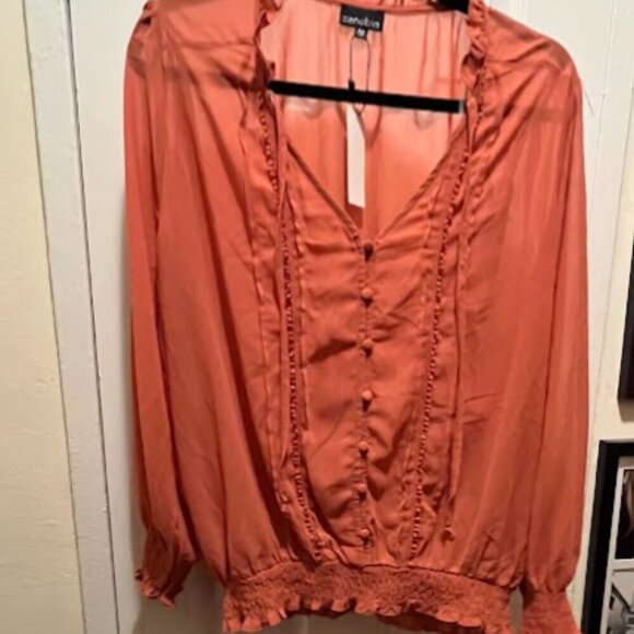 NWT Plus-Size Rust Orange Blouse - Picture 1 of 5